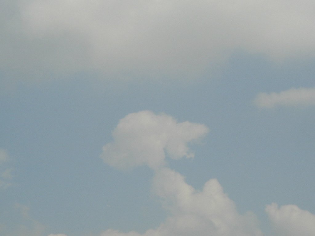 ʌzJs -  - ʐ^f - ݃{