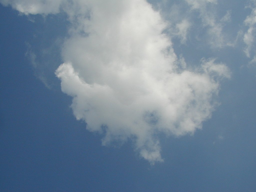 ʌzJs -  - ʐ^f - ݃{