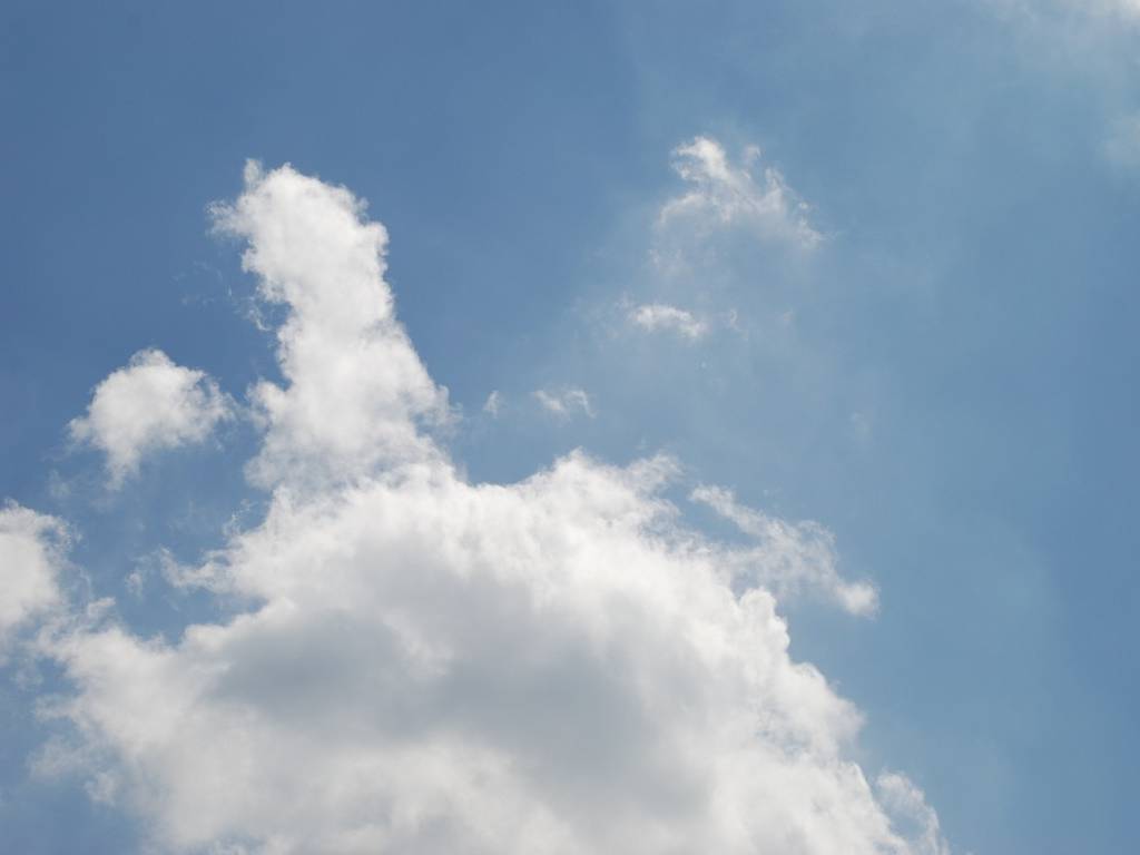 ʌzJs -  - ʐ^f - ݃{