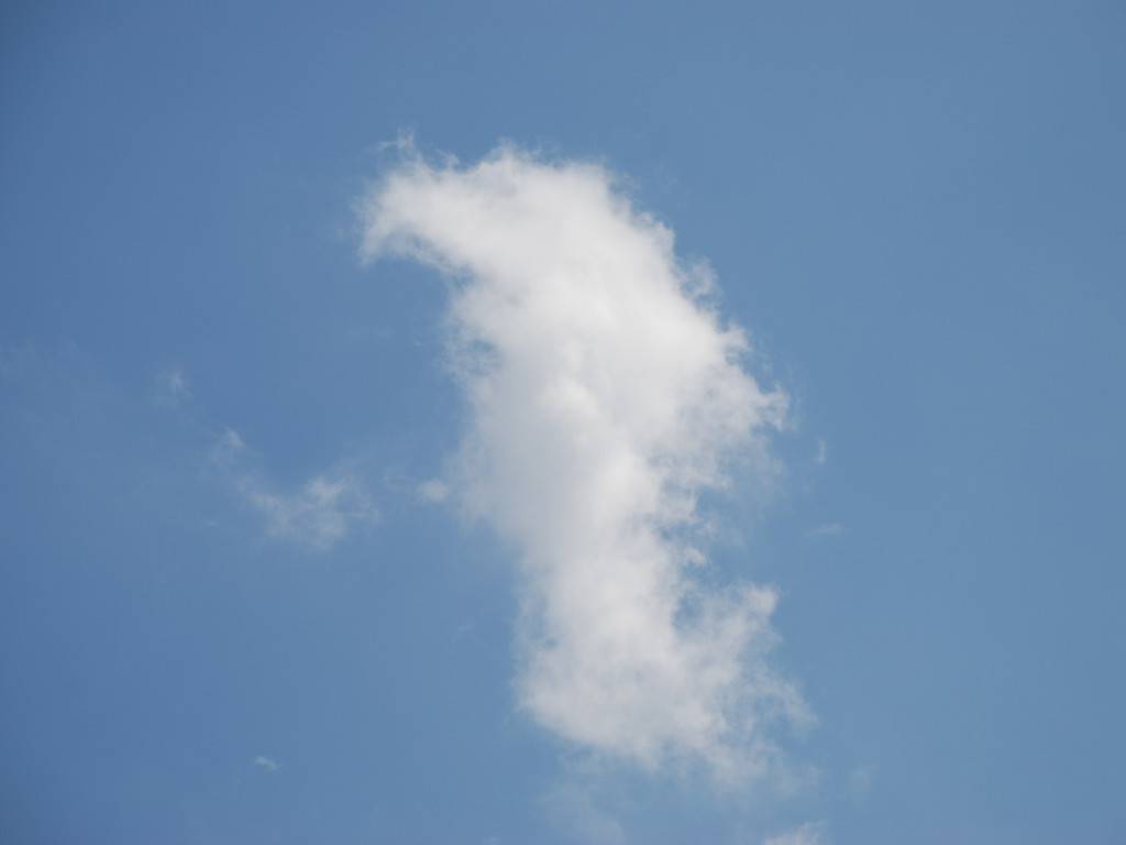 ʌzJs -  - ʐ^f - ݃{