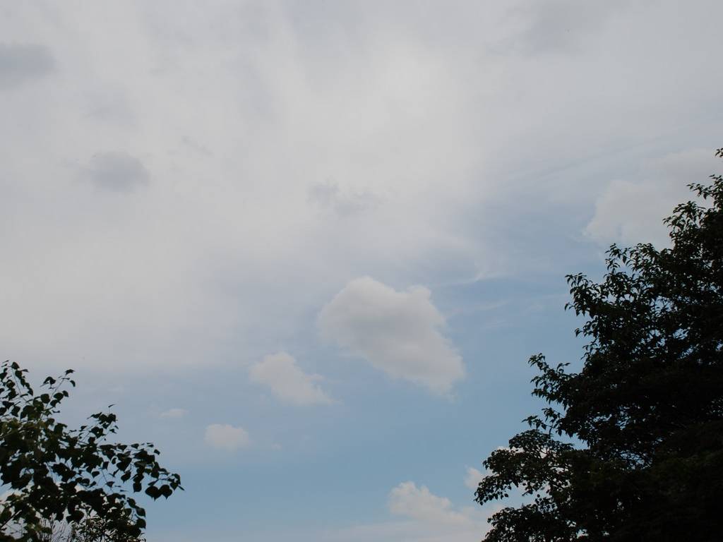 ʌs -  - ʐ^f - ݃{