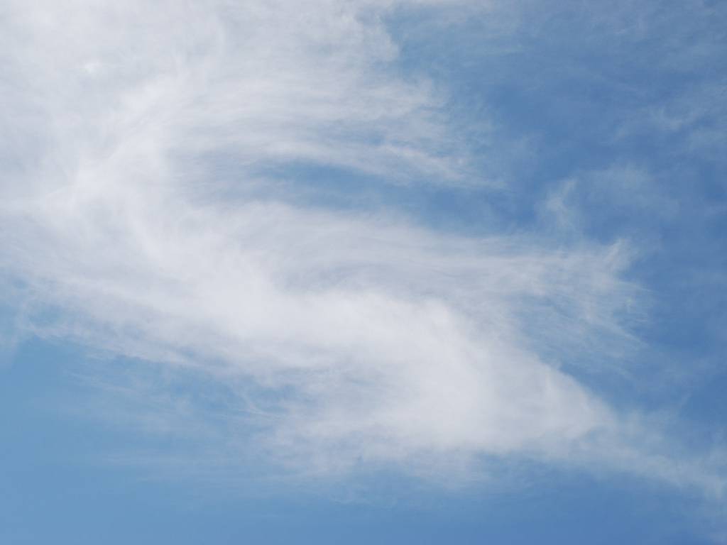 ʌzJs -  - ʐ^f - ݃{