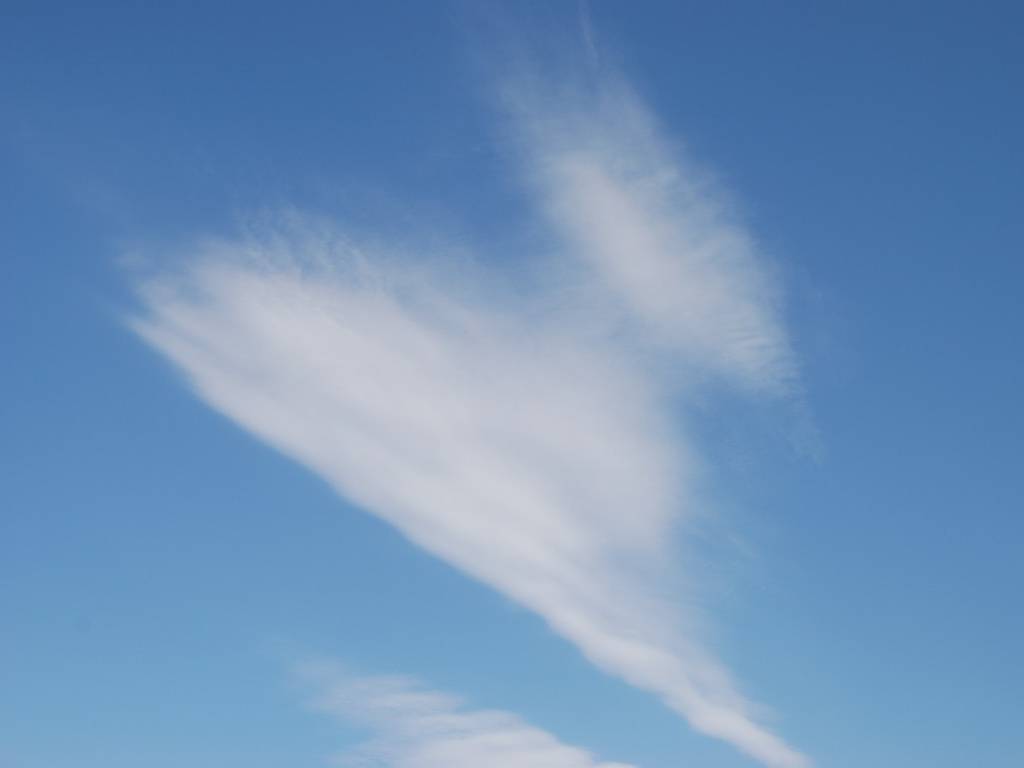 ʌs -  - ʐ^f - ݃{