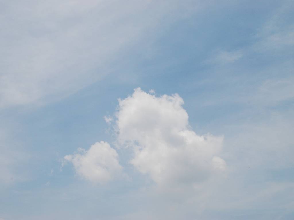 ʌzJs -  - ʐ^f - ݃{
