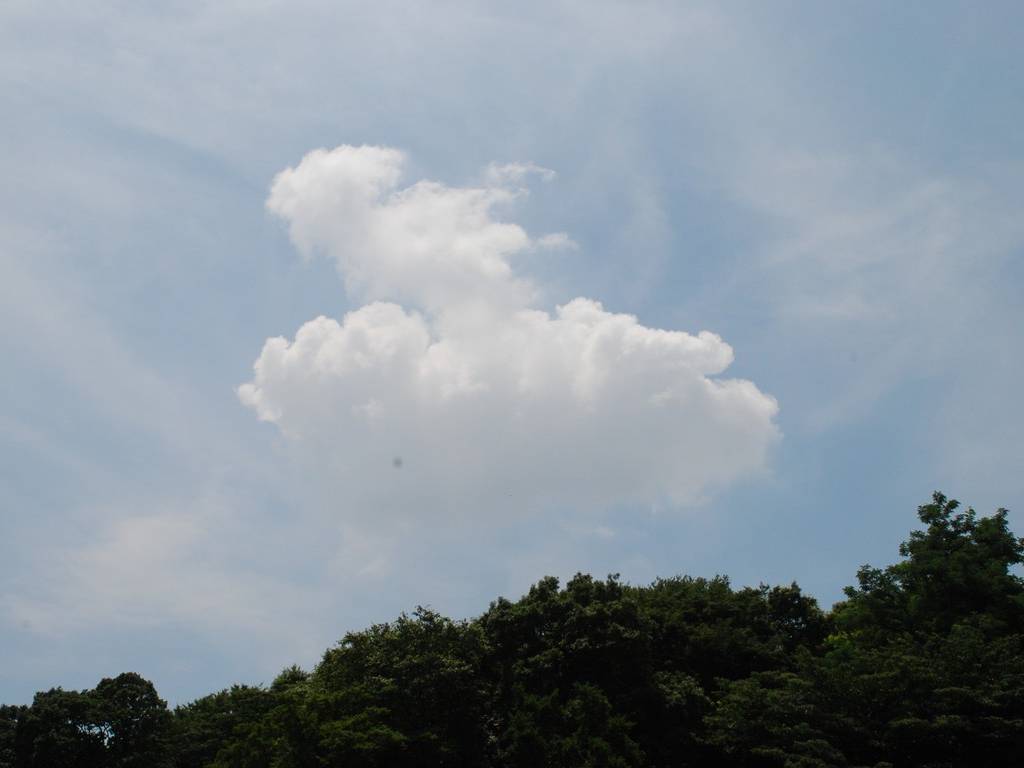 ʌs -  - ʐ^f - ݃{