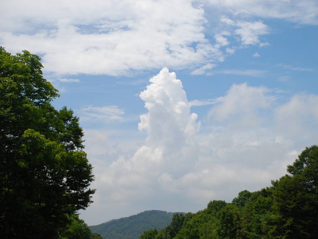 Qn㔭mE΂獂 -  - ʐ^f - ݃{