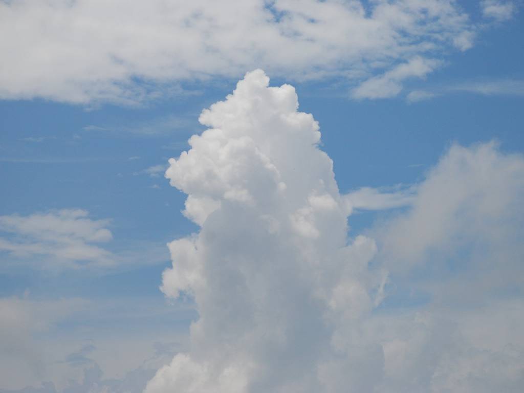 Qn㔭mE΂獂 -  - ʐ^f - ݃{