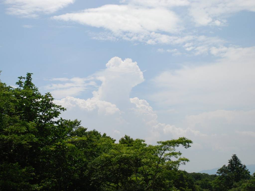 Qn㔭mE΂獂 -  - ʐ^f - ݃{