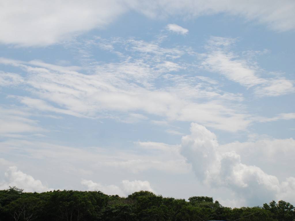 Qn㔭mE΂獂 -  - ʐ^f - ݃{