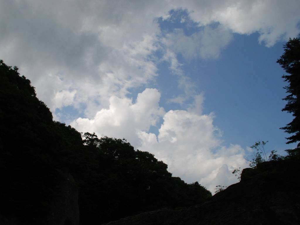 Qn㔭mE΂獂 -  - ʐ^f - ݃{