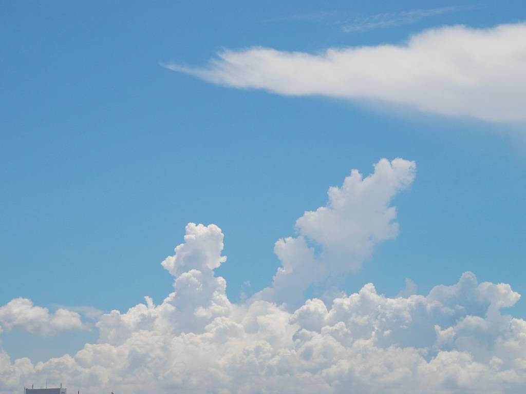 tDs -  - ʐ^f - ݃{