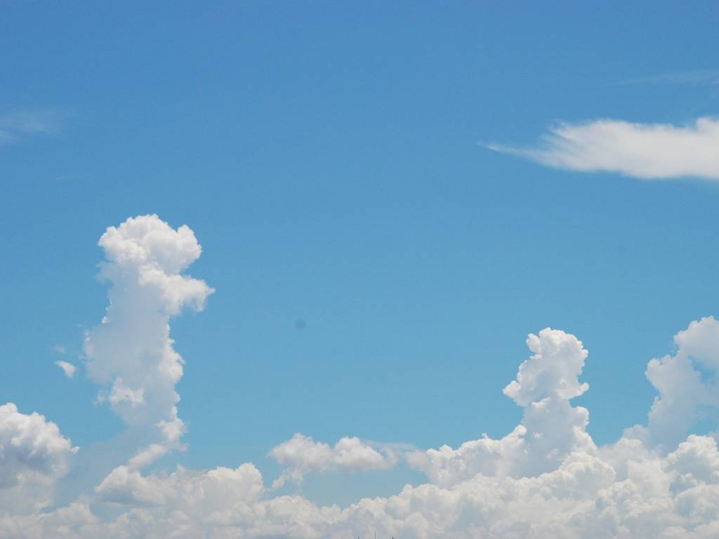 tDs -  - ʐ^f - ݃{