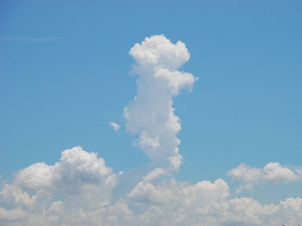 tDs -  - ʐ^f - ݃{