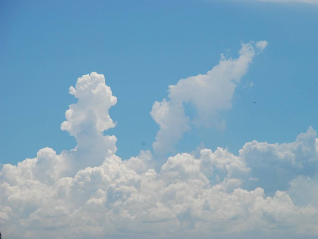 tDs -  - ʐ^f - ݃{