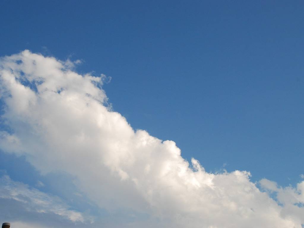 ʌzJs -  - ʐ^f - ݃{