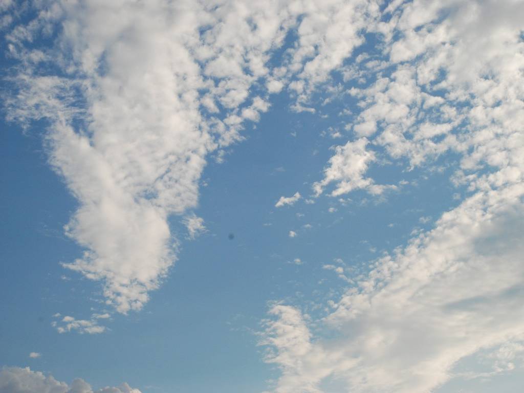 ʌzJs -  - ʐ^f - ݃{