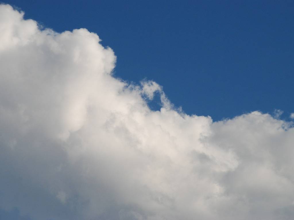 ʌzJs -  - ʐ^f - ݃{