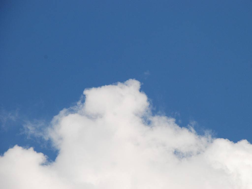 ʌzJs -  - ʐ^f - ݃{