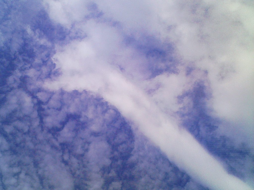 ʌzJs -  - ʐ^f - ݃{