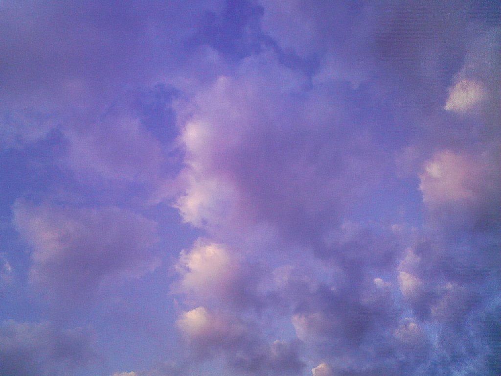 ʌzJs -  - ʐ^f - ݃{