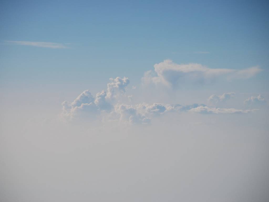 VK|[琬cւ̔s@̒ -  - ʐ^f - ݃{