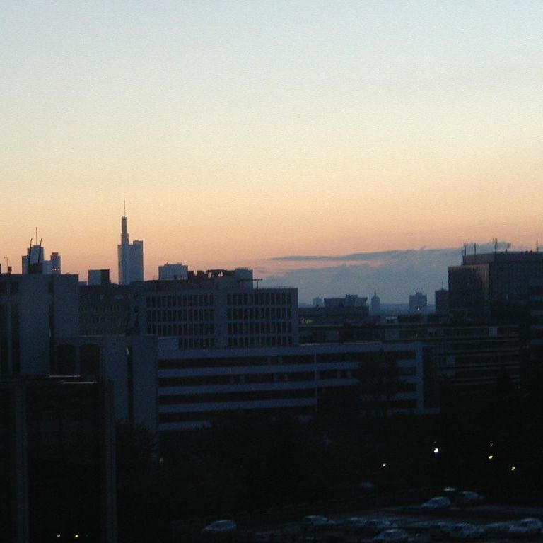 hCcEtNtg -  - ʐ^f - ݃{