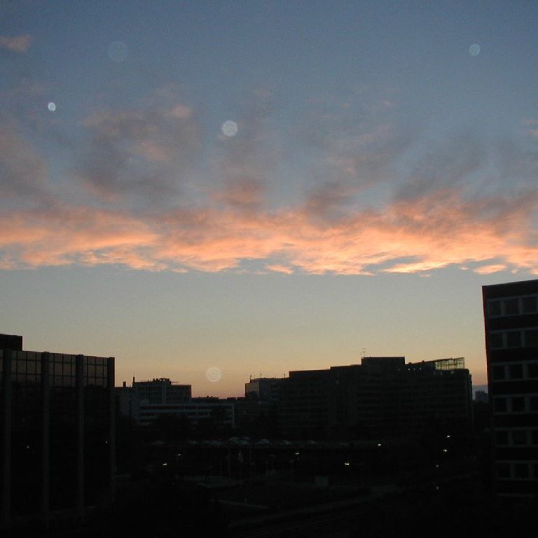 hCcEtNtg -  - ʐ^f - ݃{