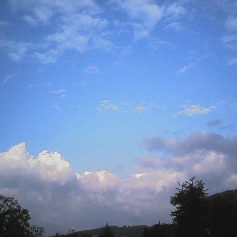 hCcE[fuN -  - ʐ^f - ݃{