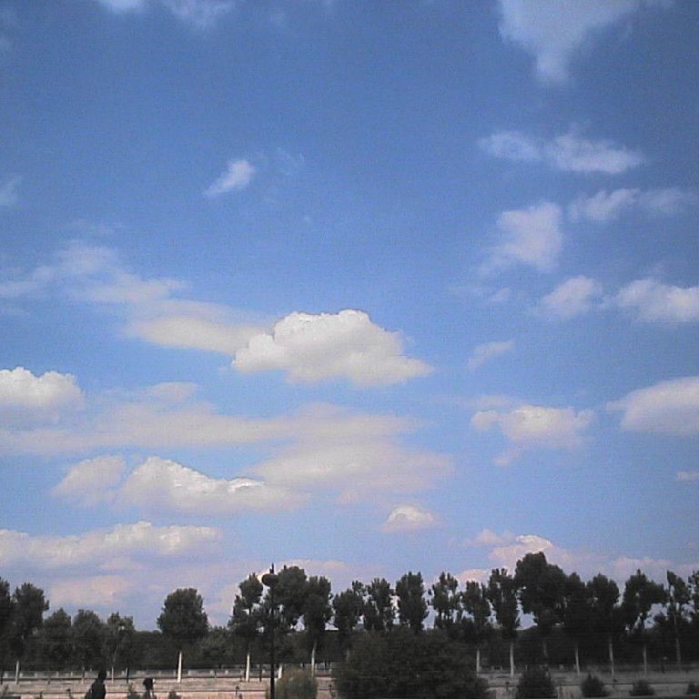 tXp -  - ʐ^f - ݃{