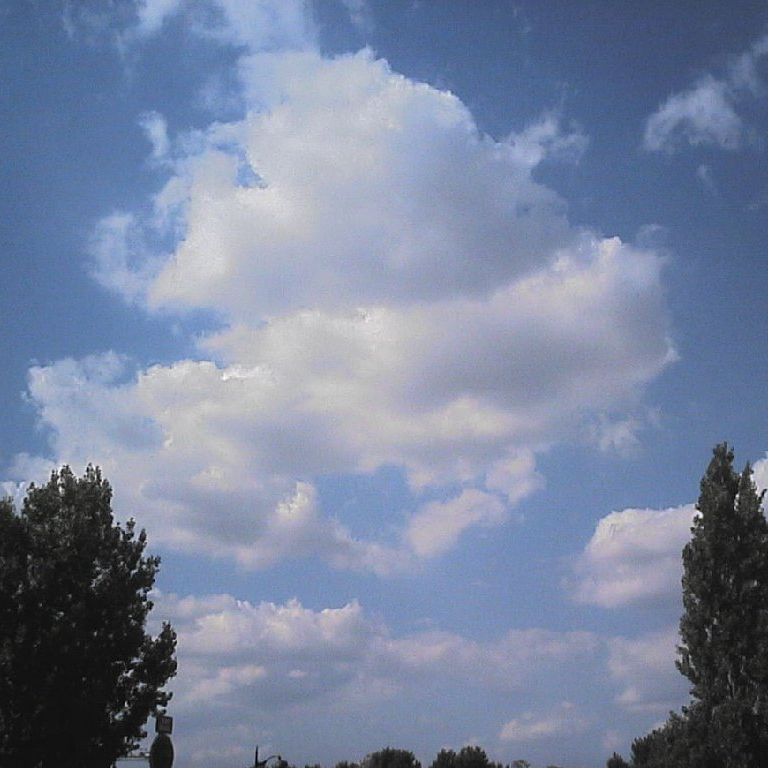 tXp -  - ʐ^f - ݃{