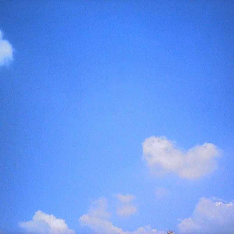 ʌzJs -  - ʐ^f - ݃{
