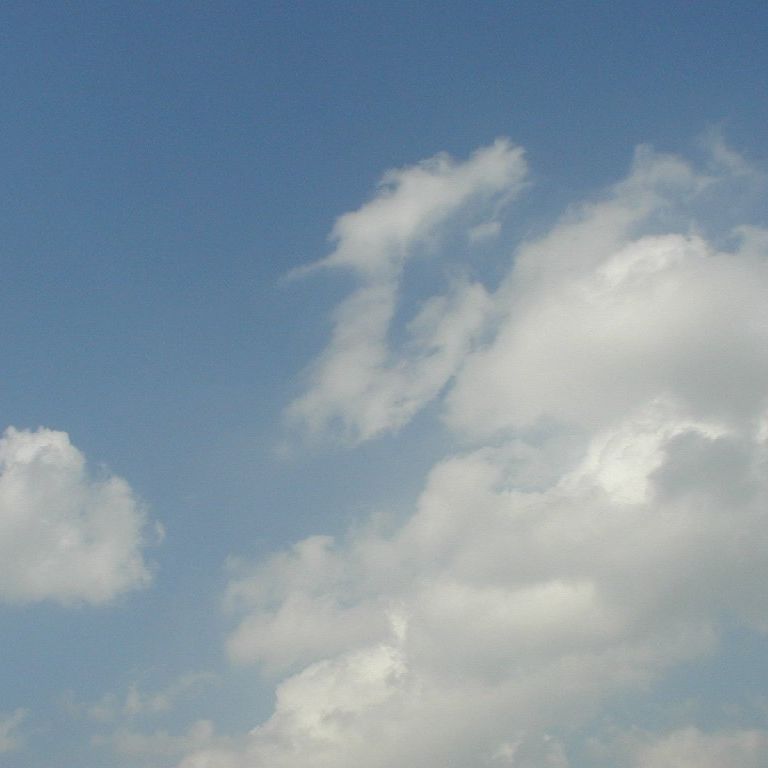 ʌzJs -  - ʐ^f - ݃{
