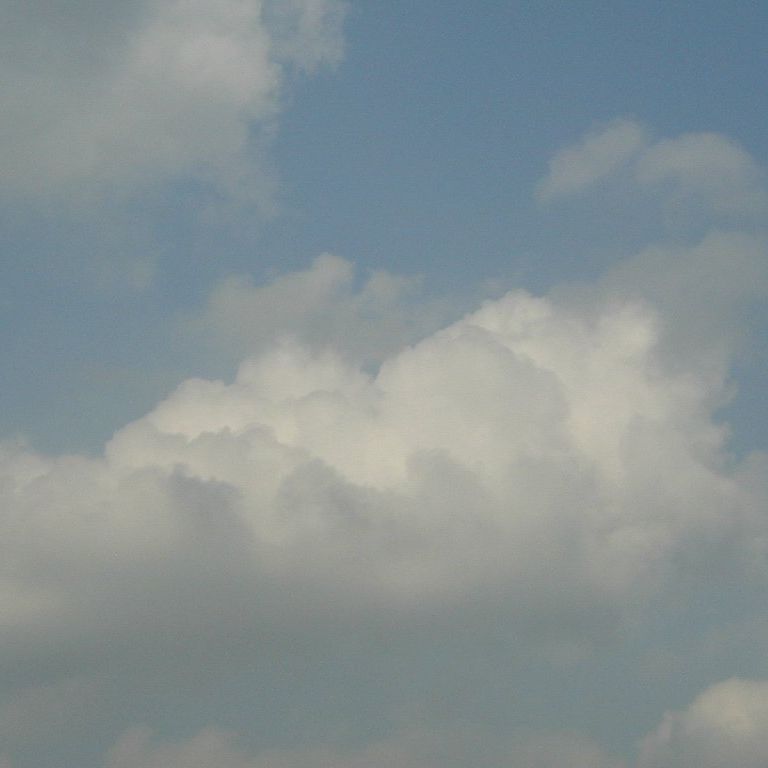 ʌzJs -  - ʐ^f - ݃{