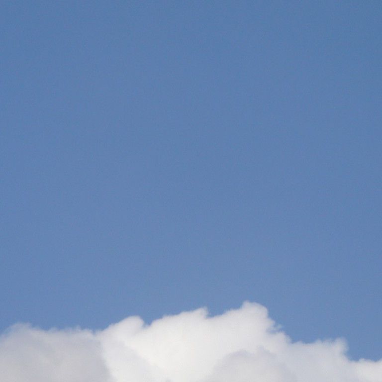 ʌzJs -  - ʐ^f - ݃{