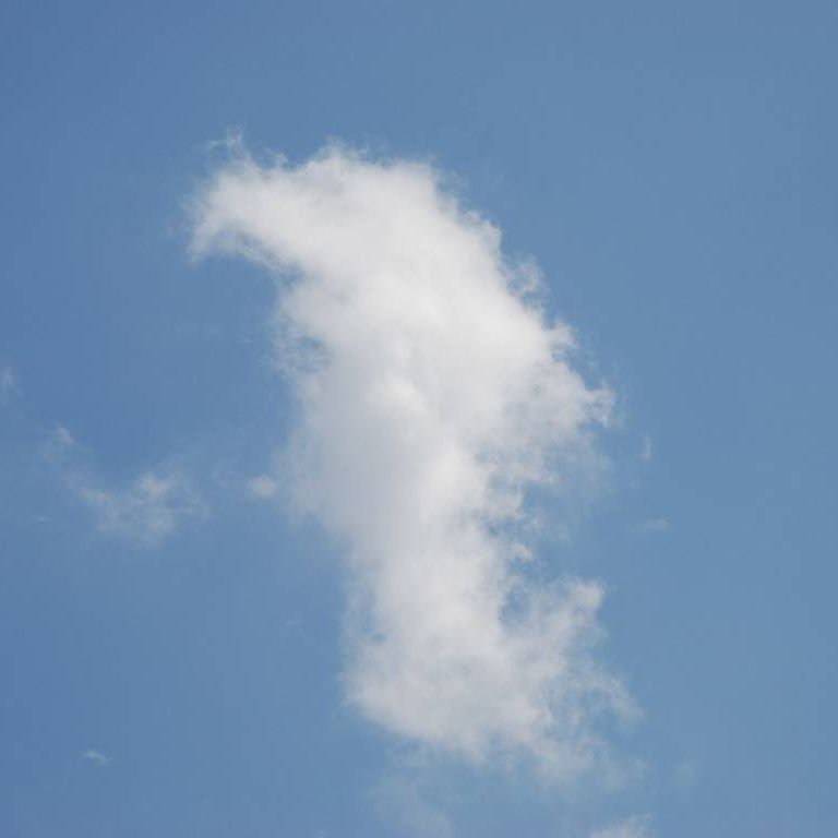 ʌzJs -  - ʐ^f - ݃{