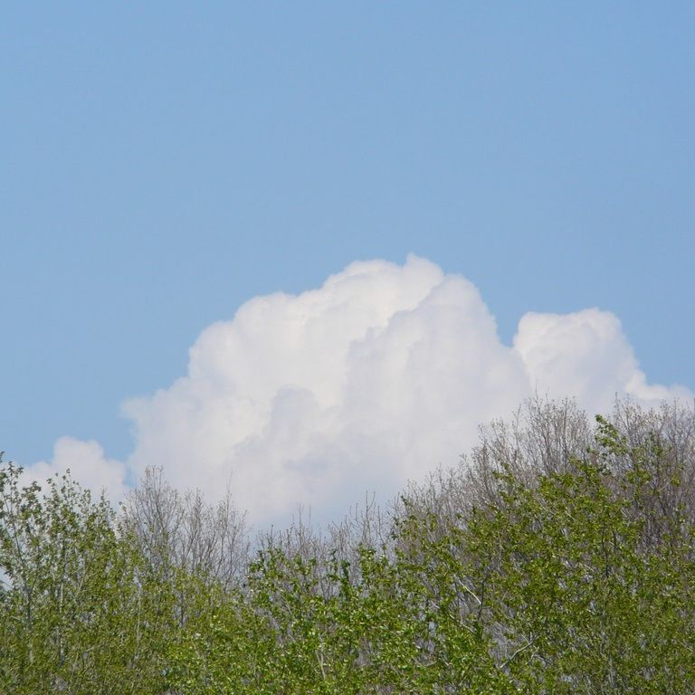 kC -  - ʐ^f - ݃{