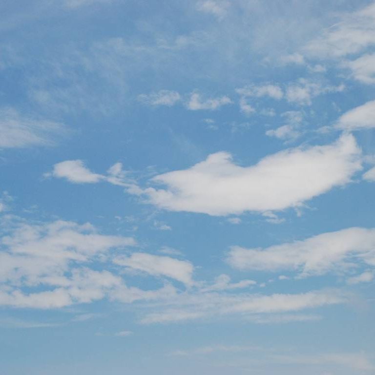 Qn㔭mE΂獂 -  - ʐ^f - ݃{