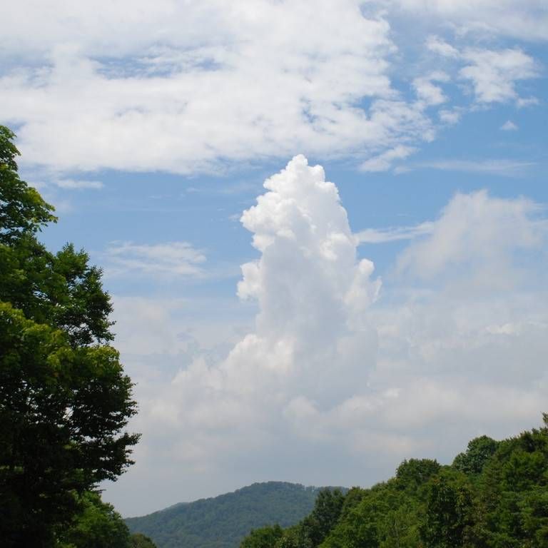 Qn㔭mE΂獂 -  - ʐ^f - ݃{