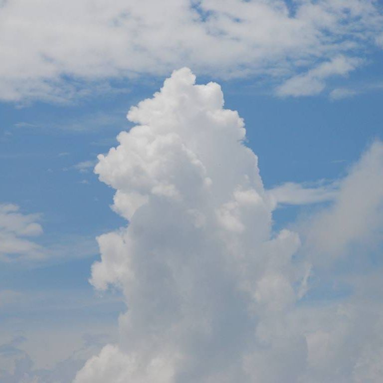 Qn㔭mE΂獂 -  - ʐ^f - ݃{