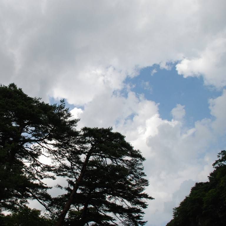 Qn㔭mE΂獂 -  - ʐ^f - ݃{