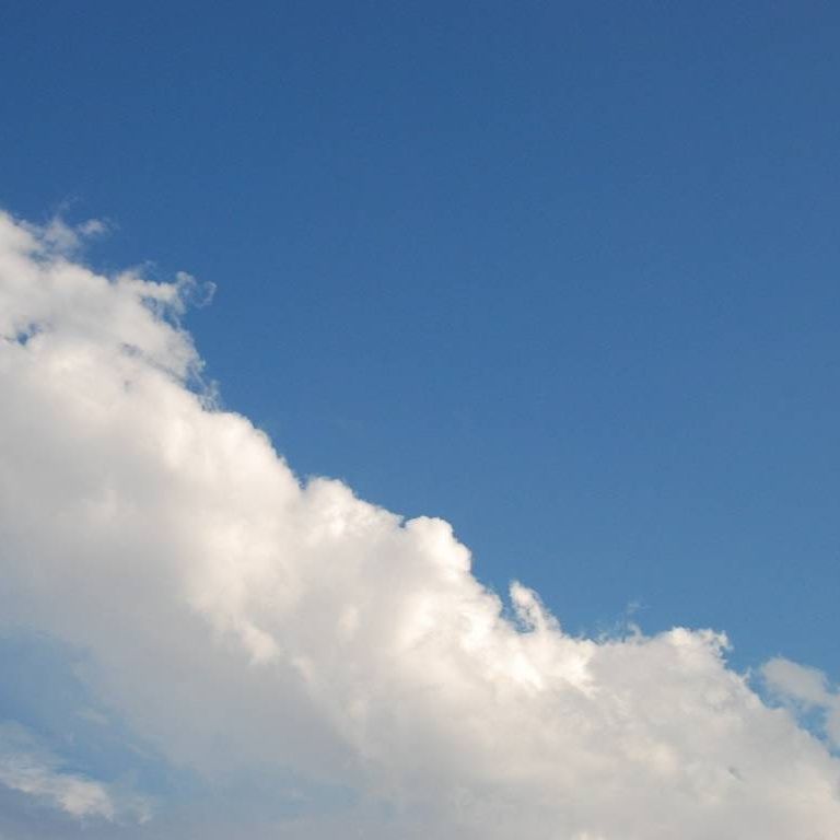 ʌzJs -  - ʐ^f - ݃{