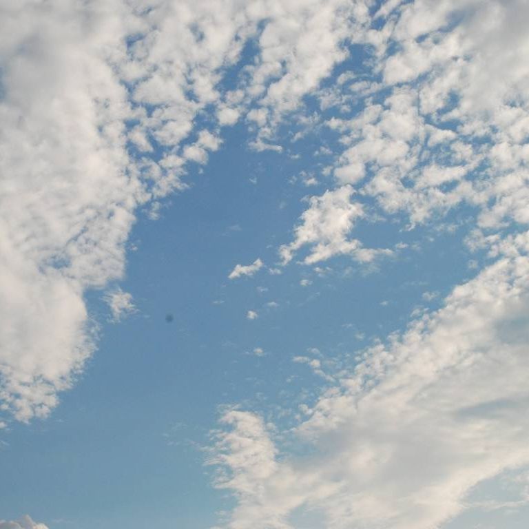 ʌzJs -  - ʐ^f - ݃{