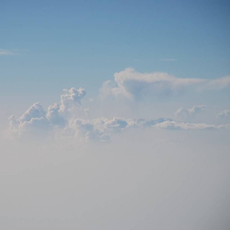 VK|[琬cւ̔s@̒ -  - ʐ^f - ݃{