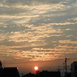 越谷市