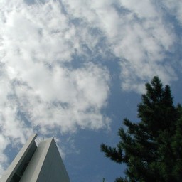 所沢市
