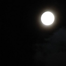 越谷市・十五夜