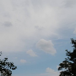 川口市