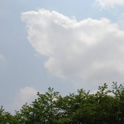 越谷市