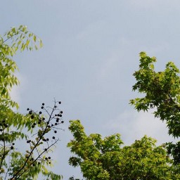 越谷市