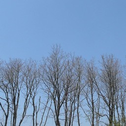 北海道安平町